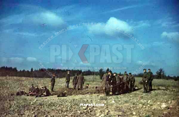  WW2 Russia 1941 summer 19th panzer division Russian pow prisoners grave duty digging shooting