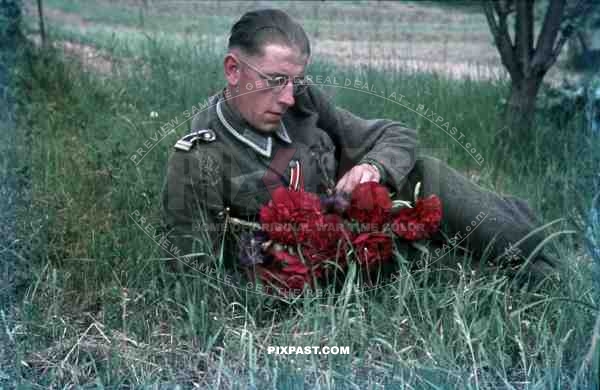 2nd Pattern Heer printed breast eagle, wehrmacht soldier, flower garden, Germany 1944. iron cross ribbon, russian front.