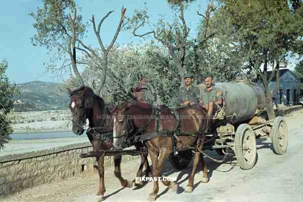 A German soldier with his Greek volunteer on top of their horse drawn water transport. Greece 1942