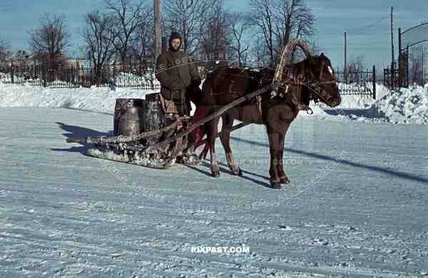 Asian Russian soldier working for Germans, Horse wagon, Kursk, Pervomaysky Park, Russia 1942, 3rd Panzer Division,