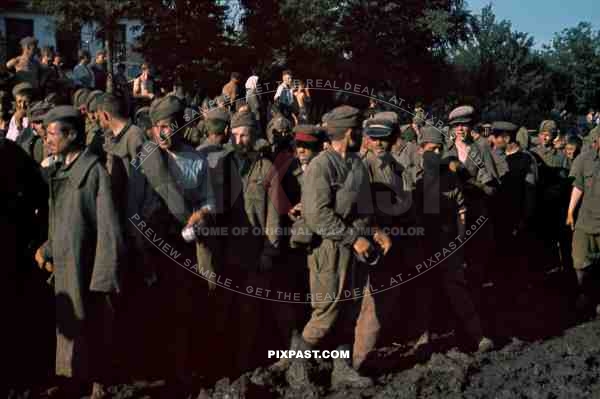 Captured Soviet Russian Soldiers POWs, Kiew Ukraine 1941. 