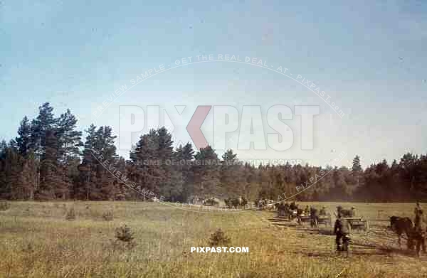countermarch through the forests of Bryansk, Russia 1944 Sicherungsbataillon 738