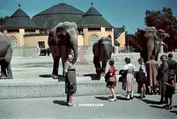 Elefantenhaus / Elephant House in Tierpark Hellabrunn Zoo. Munich. Germany 1940