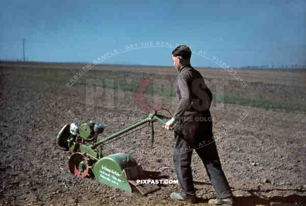 Farmer ploughing his potato field near Ulm Germany 1937.