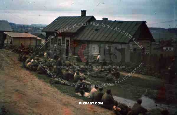 fresh captured russian pow russia minsk 1941