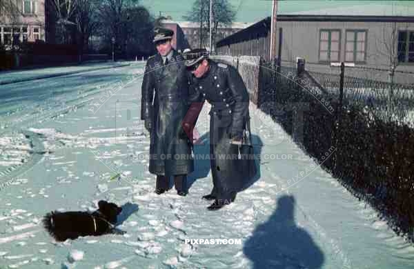 German 1940 Luftwaffe Flak anti-aircraft officers in uniform dagger hats dog snow 3. Flak Abt. 701 