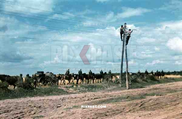 German army cavalry moving into Russia. telephone repair men on the telephone post. Russia 1941.