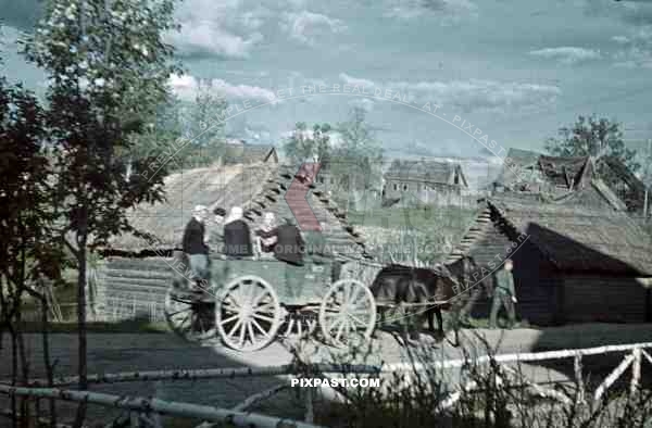 german army horse wagon supply peasent transport russia 1942