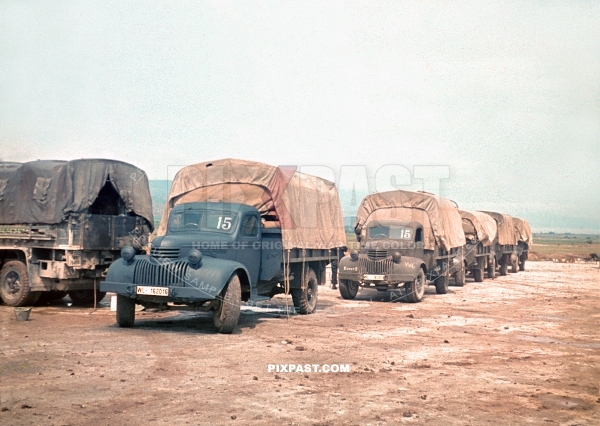 German built Ford army trucks used by a German Luftwaffe field division in Ukraine 1942