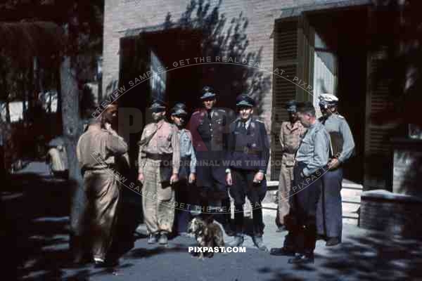 German Flotte Luftwaffe officers meeting for strategy meeting in Sicily 1943. Tropical uniforms. Officer Bindewald