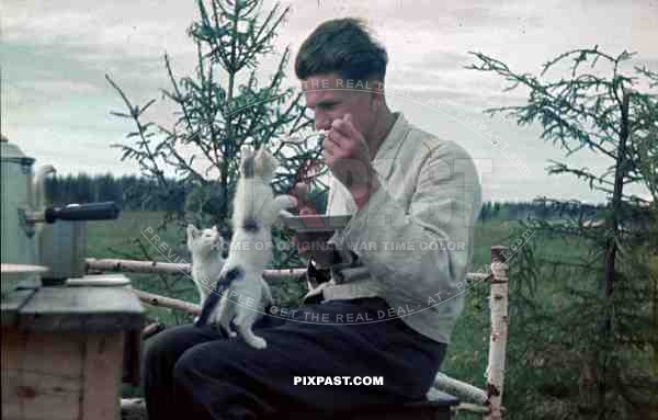 German Luftwaffe FLAK officer feeding cat pet animal coffee wood chair russia 1941 3. Flak Abt. 701 