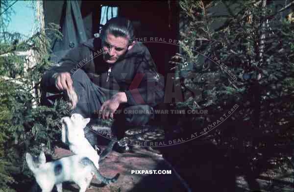 German Luftwaffe Flak officer in sport suite feeding cat pet tent zeltbahn russia 1941 3. Flak Abt. 701 