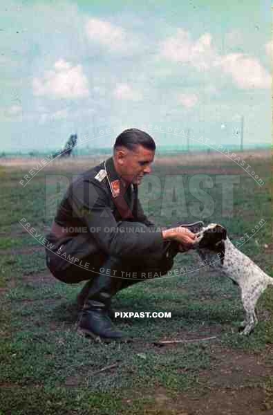 German Luftwaffe Flak officer play with dog Russia battlefield 1941 3. Flak Abt. 701 