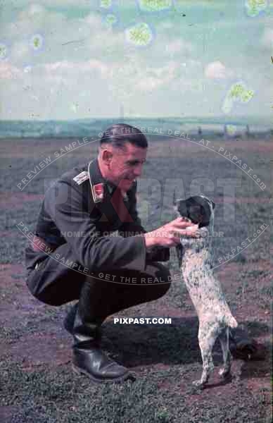 German Luftwaffe Flak officer play with dog Russia battlefield 1941 3. Flak Abt. 701 
