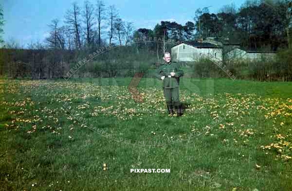 german soldier in field, Netherlands 1940