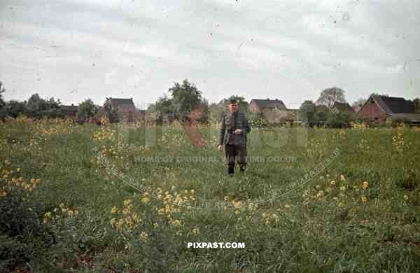 german soldier in field, Netherlands 1940