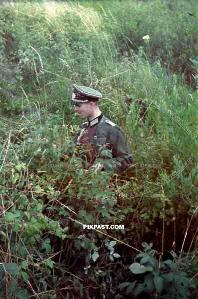 Germany army officer in uniform walk through field, Summer 1941, Iron cross ribbon on jacket, leather belt, flowers.