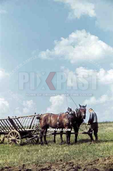 horse cart on a field, Germany ~1938