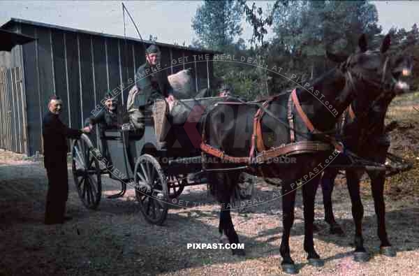 horse wagon france wehrmacht 1940