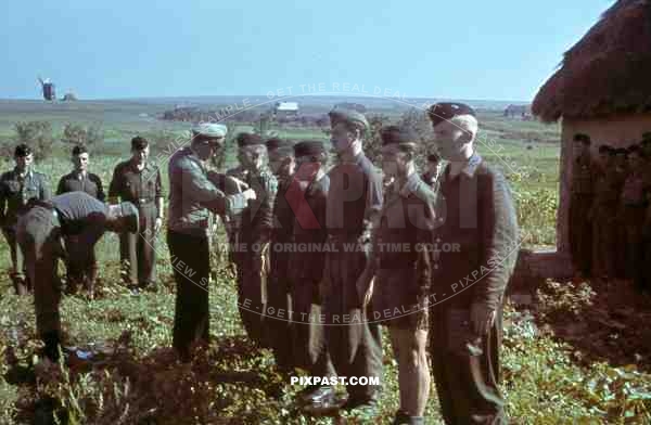 Iron Cross Award Ceremony, panzer drivers, Cherson, 1942, 22nd Panzer Division, windmill, green Camouflage shirt.