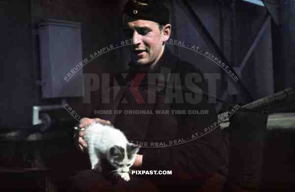 Kriegsmarine seaman with pet cat on a warship at the french Atlantic coast 1941