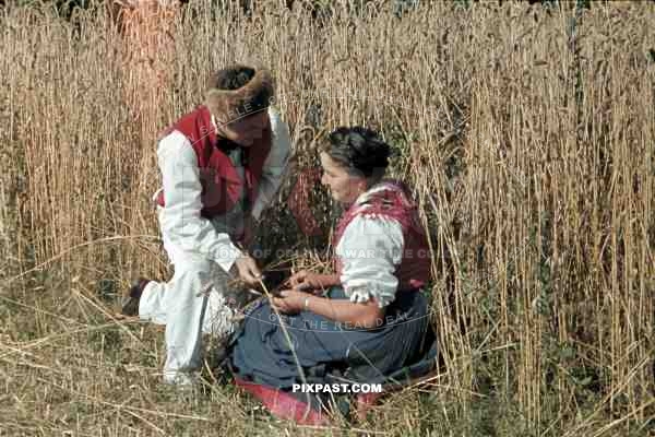 man and woman in traditional costume in a field, Germany ~1938