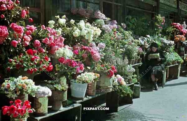 old woman reading newspaper at flower market in Wels, Austria 1940