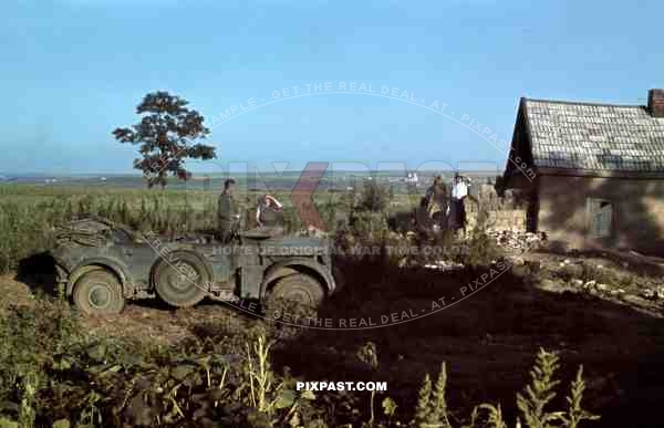 PKW Horch 901, Medium car, Don, Tschir, 1942, 22nd Panzer Division, Panzer-AufklÃ¤rungs-Abteilung 22,  