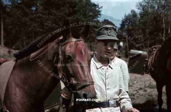 soldier with packhorse in Landeck, Austria 1941, Pontlatz Kaserne