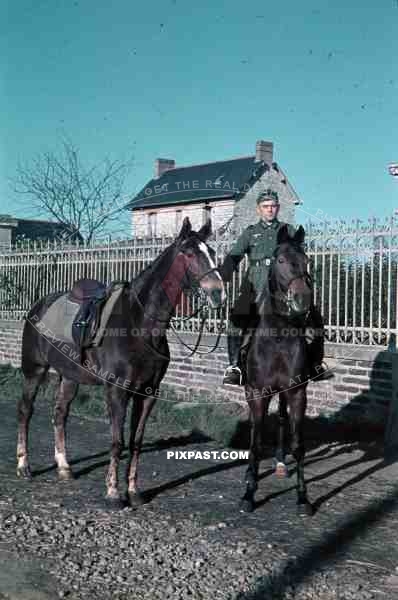 soldier with two horses france 1940