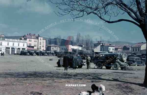 Wehrmacht equipment vehicles, Romania 1942