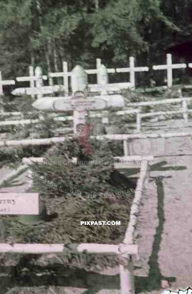 Wehrmacht graves in Luga, Russia ~1942