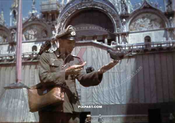 Wehrmacht soldier feeding pigeons in Venice, Italy 1943