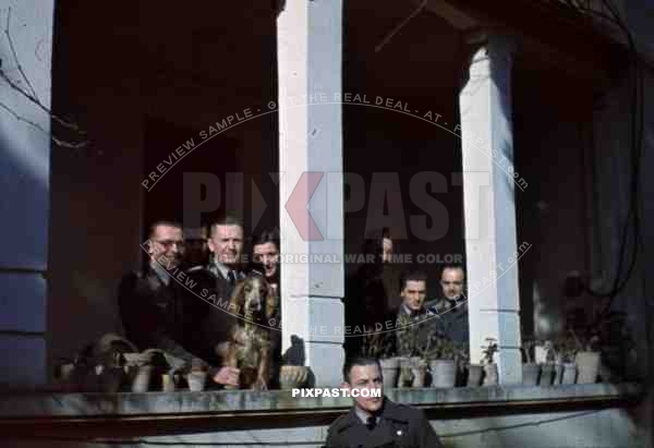 WW2 color Belgium 1940 Schloss Pet Dog officers Luftwaffe Flugflotte 2