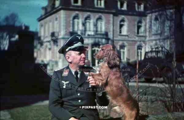 WW2 color Bindewald Luftwaffe officer pet dog Schloss Belgium Flugflotte 2 uniform 1940 car