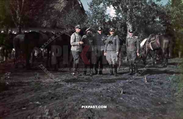 WW2 Color German Wehrmacht army Cavalry officers with horses in Ukraine town 1943 Binoculars