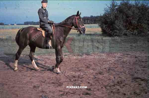 WW2 color German wehrmacht Infantry officer Cavalry Frankfurt 1940 horse