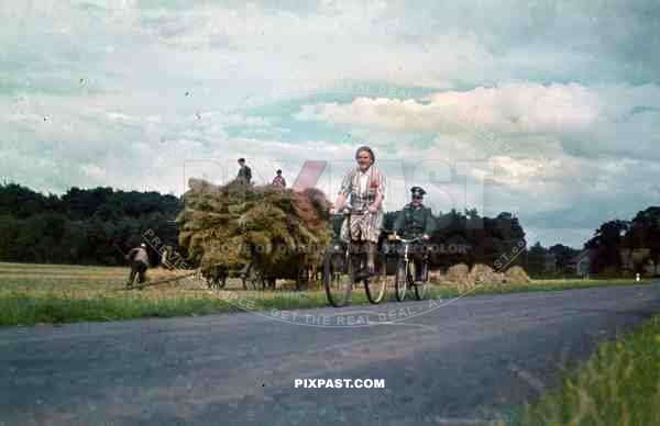 WW2 color granny bike old officer hay farmer wagon cart summer 1940
