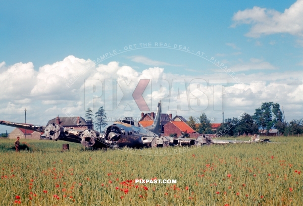 Crash landed American Boeing B-17G Flying Fortress in Dutch flower field. Holland 1944. Motors removed.