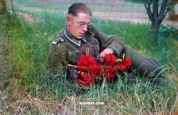 German soldier dreaming in field with handful of beautiful flowers. Russian front 1943. Iron cross Ribbon