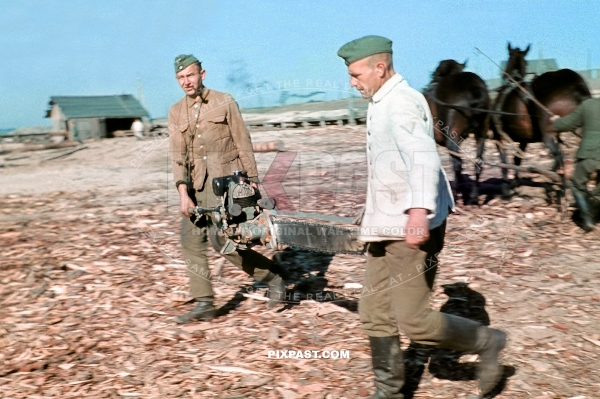 German soldiers cutting wood for bridge construction with petrol chainsaw. Crimea Krim. 6th Infantry Division Wehrmacht