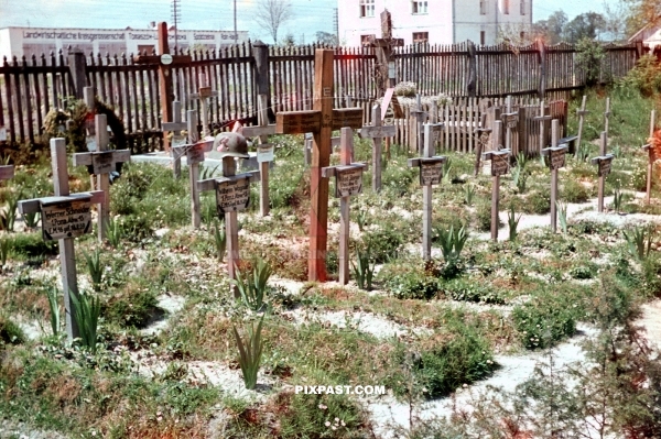 Germany army soldier war grave. Russia 1942. 297 Infantry Division