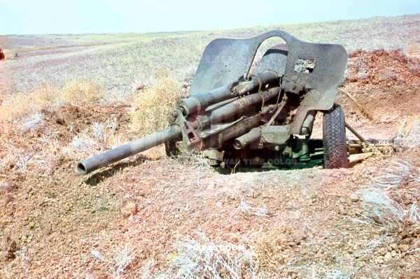 Knocked out Soviet Russian 76mm Field gun artillery. Near Stalingrad summer 1942. 297, Infantry, Division