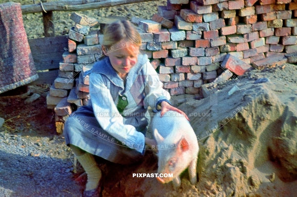 Little Ukrainian girl playing with baby pig in building site. Photo taken by German soldier. Ukraine 1942
