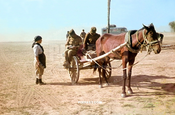 Russian military translator with white Wehrmacht Dienst arm band helping translating between soldier and Russian farmer