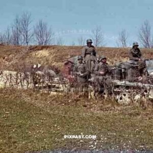 103 Schutzen Regiment, 14th Panzer Division, Russia 1941