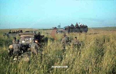 103 Schutzen Regiment 14th Panzer Division Russia Summer 1942 Radio FUNK (K) staff car, Bedford Truck, motorbike,
