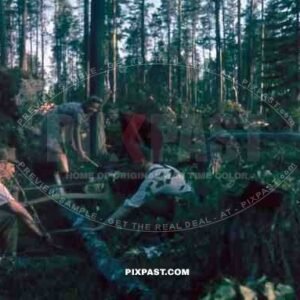 134th Gebirgsjaeger, Finland 1944, German soldiers cutting wood trees with female civilians in forest.