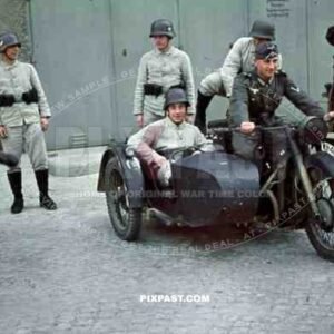 14th Panzer Division 103 Schutzen Regiment, Lobau/Saxony, Germany 1939
