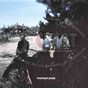 19th Panzer Division Heeresgruppe Mittle near Witebsk, Belarus, Russia 1941